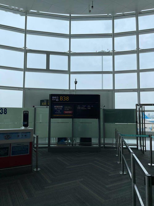 云端之上的温暖 海航精品航线掠影——从杭州到广州的非凡旅程
