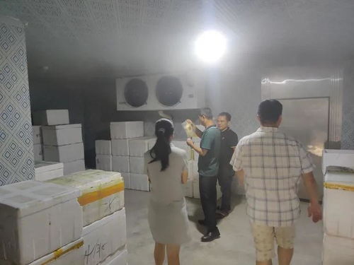 海口美兰分局专项护航食品生产 不仅送技术更解企业资金之渴