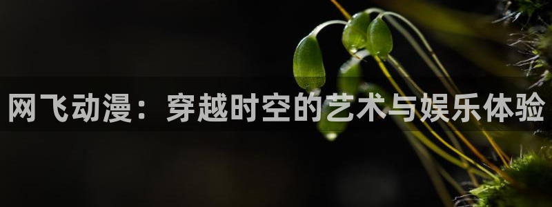 age漫画网：网飞动漫：穿越时空的艺术与娱乐体验