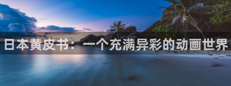age漫画网：日本黄皮书：一个充满异彩的动画世界