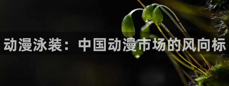 age动漫官网在线入口：动漫泳装：中国动漫市场的风向标