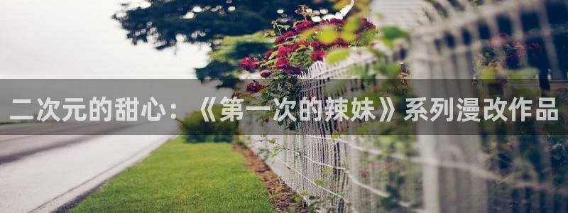 age动漫官网版入口：二次元的甜心：《第一次的辣妹》系列漫改作品