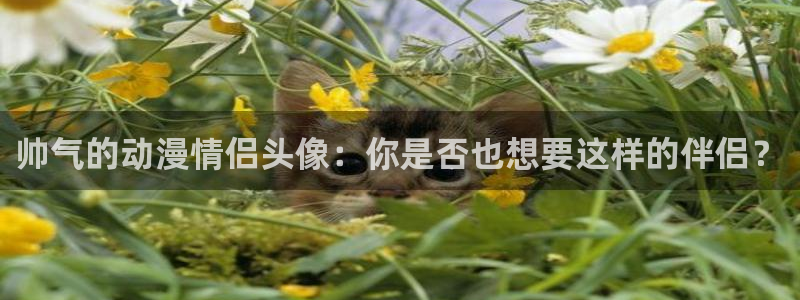 age动漫樱花：帅气的动漫情侣头像：你是否也想要这样的伴侣？