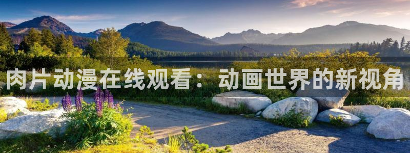 age动漫网：肉片动漫在线观看：动画世界的新视角