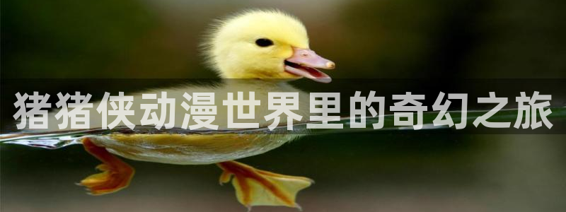 age动漫专注动漫的门户网站：猪猪侠动漫世界里的奇幻之旅
