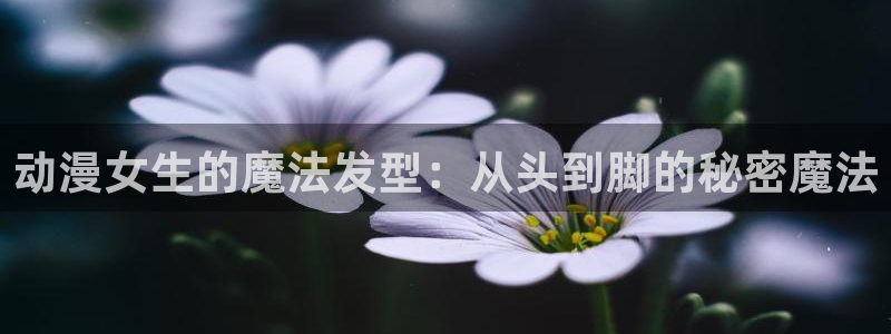 下载age动漫：动漫女生的魔法发型：从头到脚的秘密魔法