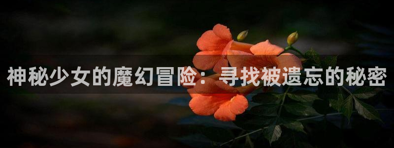 age动漫omofun：神秘少女的魔幻冒险：寻找被遗忘的秘密