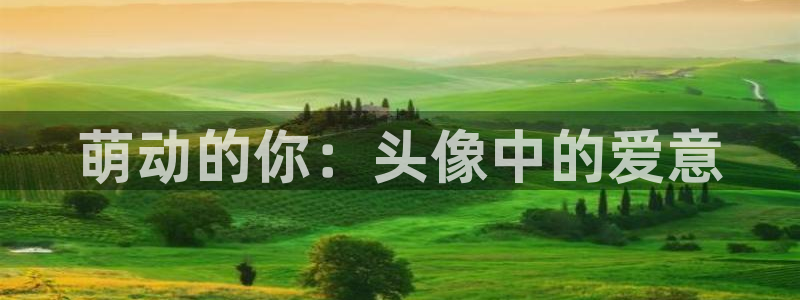 age动漫网上看