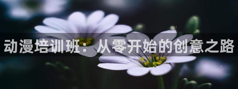 age动漫官网网址