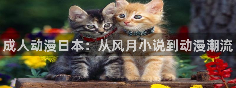 age樱花动漫