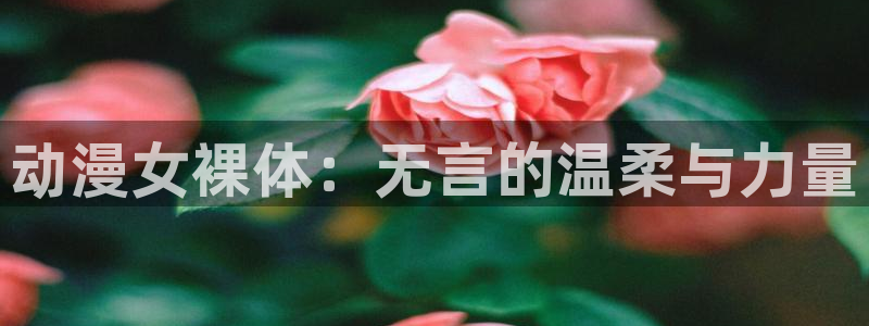 age动漫下载