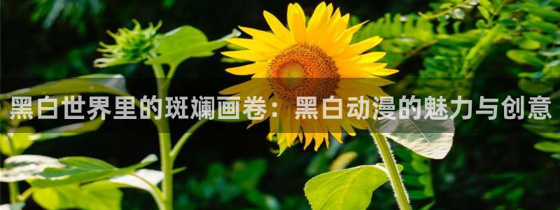 age动漫网下载