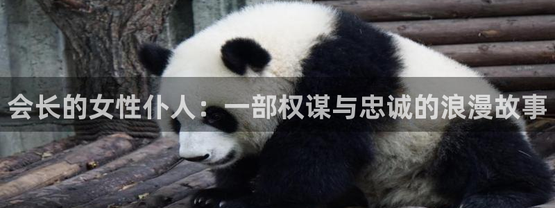 age动漫官网入口老版本