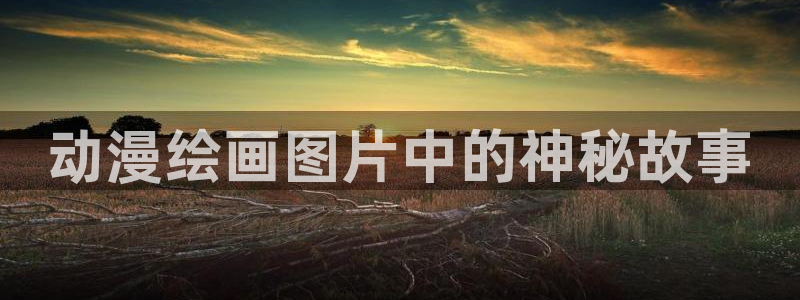age动漫网