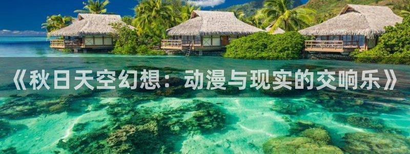 age动漫官网入口老版本