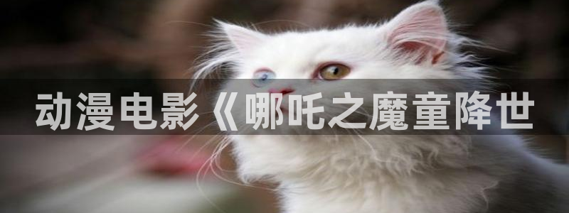 colamanage漫画官网