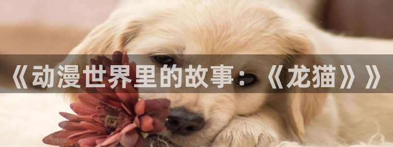 age动漫官网版入口