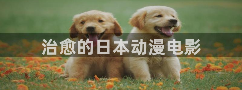 age动漫专注动漫的门户网站