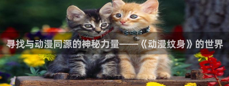 age专注动漫的门户网站