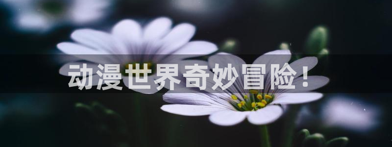 在线动画动漫下载age动漫