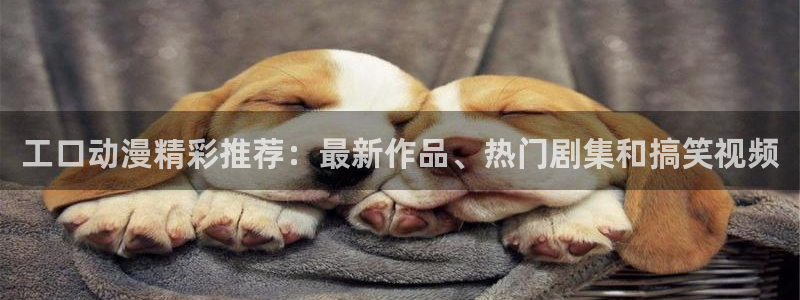 age动漫