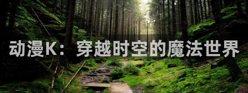 age动漫