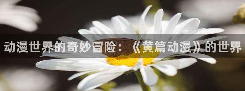 韩国漫画平台kakaopage