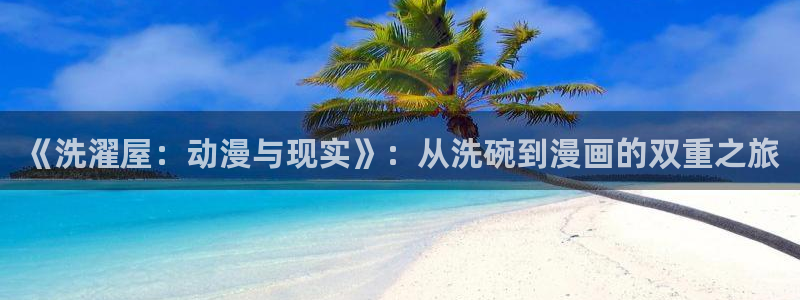 age动漫网上看：《洗濯屋：动漫与现实》：从洗碗到漫画的双重之旅