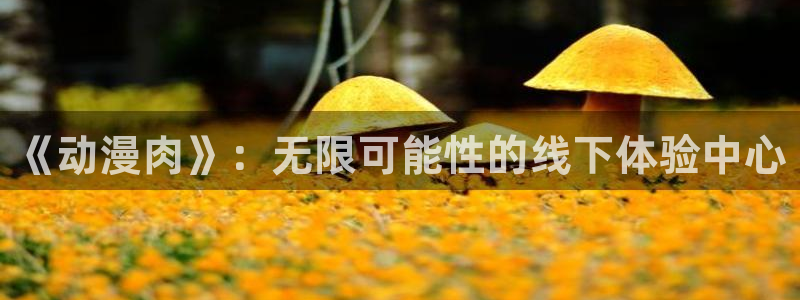 拷贝漫画 copymanager.ory网站：《动漫肉》：无限可能性的线下体验中心