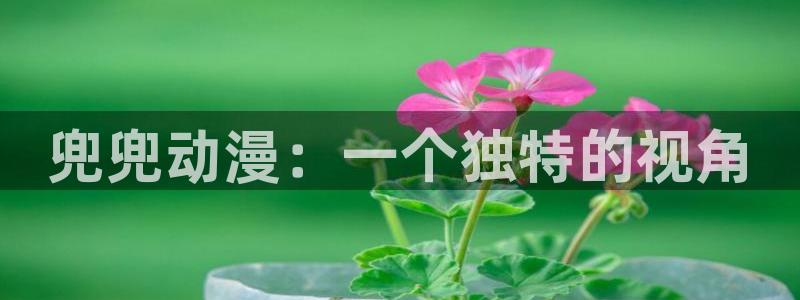 managereader漫画官网入口：兜兜动漫：一个独特的视角