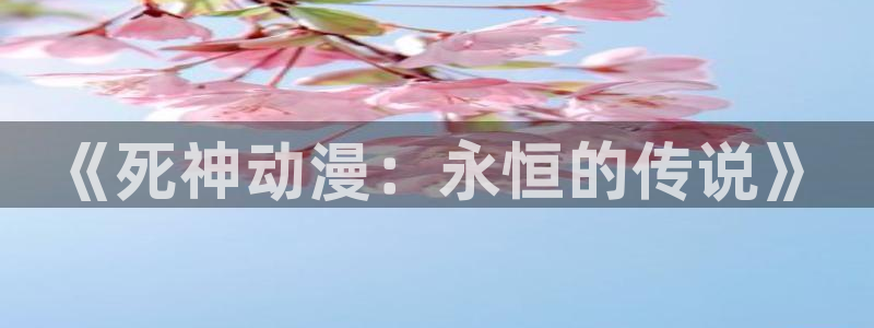 age专注动漫的门户网站：《死神动漫：永恒的传说》