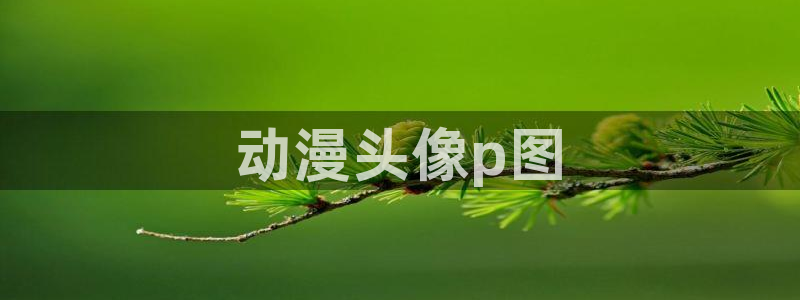 下载age动漫