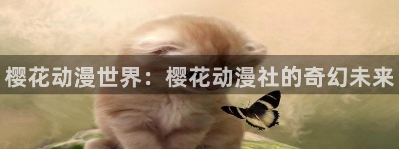 age专注动漫的门户网站