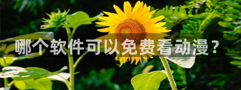 在线动画动漫下载age动漫