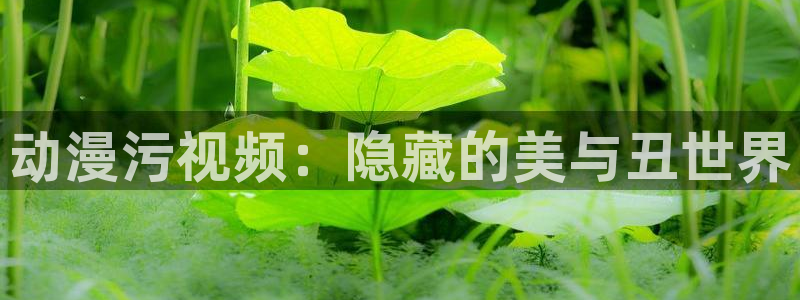 age动漫官网樱花动漫